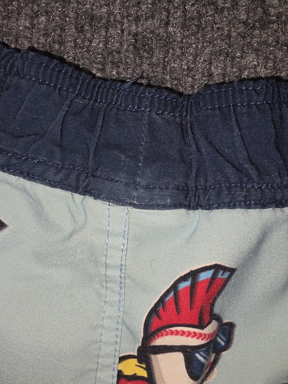 Wild Thing Baseballism Graphic Swim Trunks - Picture 5 of 7